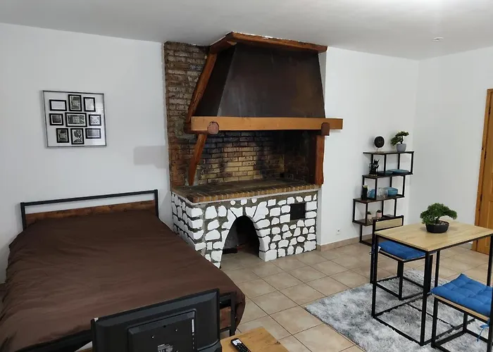 Cosy 公寓 蓬德拉尔什