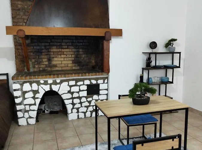 Cosy 公寓 蓬德拉尔什